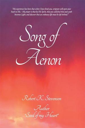 Cover of the book Song of Aenon by Jessica A. Newsome