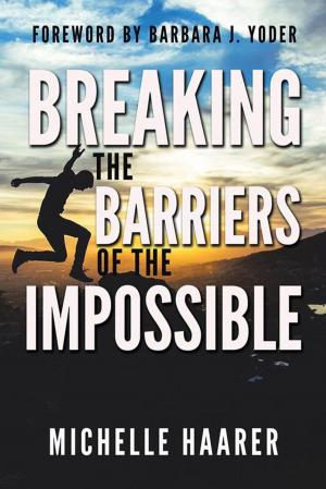 bigCover of the book Breaking the Barriers of the Impossible by 