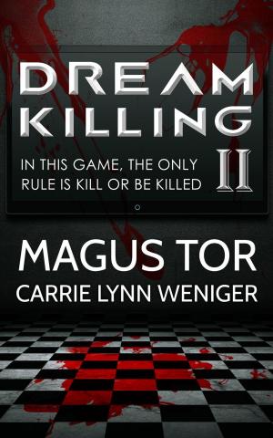 Book cover of Dream Killing 2