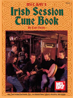 Cover of the book Irish Session Tune Book by Per Danielsson