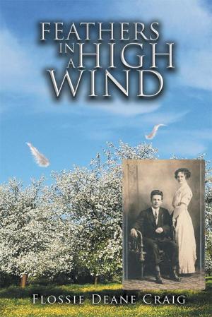 Cover of the book Feathers in a High Wind by Ross D. Clark