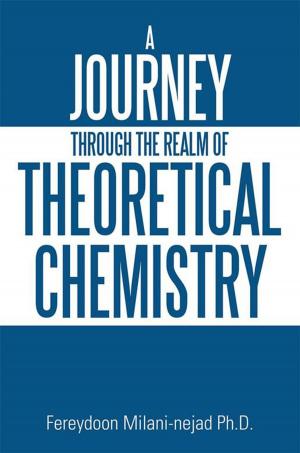 Book cover of A Journey Through the Realm of Theoretical Chemistry