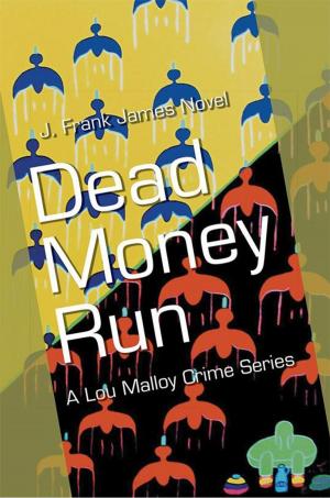 Cover of the book Dead Money Run by Nora Maiden