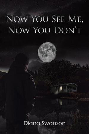 Cover of the book Now You See Me, Now You Don't by Don S. Walker, Steven Craig Smith