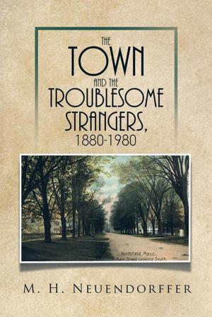 Cover of the book The Town and the Troublesome Strangers, 1880-1980 by Herman Lloyd Bruebaker