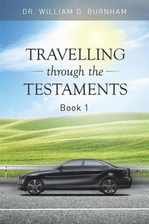Book cover of Travelling Through the Testaments Volume 1