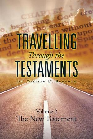 Cover of the book Travelling Through the Testaments Volume 2 by Anthony Finch