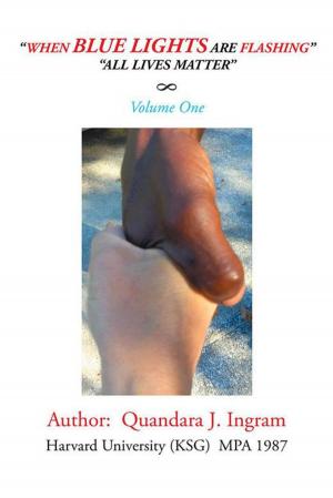 Cover of the book When Blue Lights Are Flashing by Mali Berger