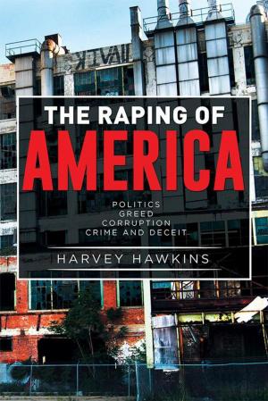 Cover of the book The Raping of America by Elizabeth Ann Weiland Abrams