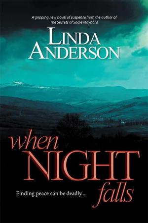Cover of the book When Night Falls by Peter Robinson