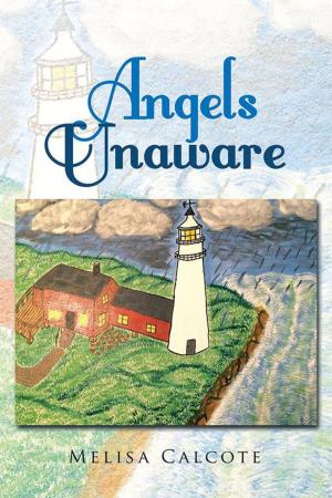 Cover of the book Angels Unaware by Shaman Melodie McBride