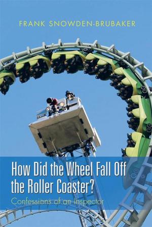 Cover of the book How Did the Wheel Fall off the Roller Coaster? by Roland Pacudan