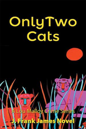 Cover of the book Only Two Cats by Kabembo Chinku