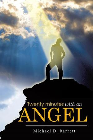 Cover of the book Twenty Minutes with an Angel by Ceaira Mitchell