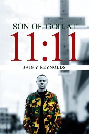 Cover of the book Son of God at 11:11 by Vincent A Robinson
