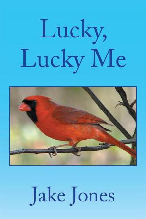 Cover of the book Lucky, Lucky Me by Dannika E. Simpson