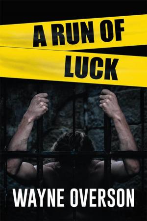 Cover of the book A Run of Luck by Joe McGillis