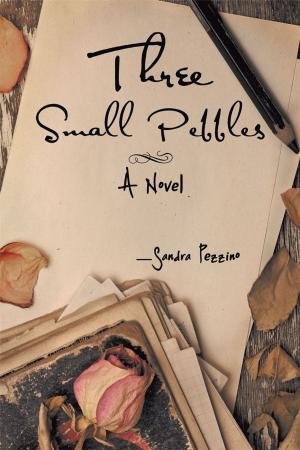 Cover of the book Three Small Pebbles by Lee Thayer