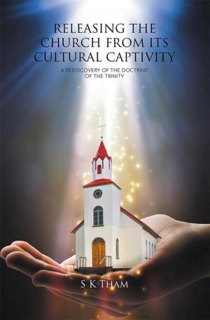 Cover of the book Releasing the Church from Its Cultural Captivity by Mohannad Salih Mahmud