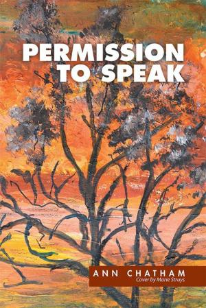 Cover of the book Permission to Speak by Michelle Bravenboer
