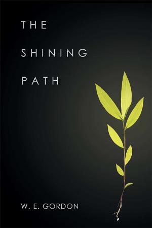 Cover of the book The Shining Path by Rita A. Walker-Radford
