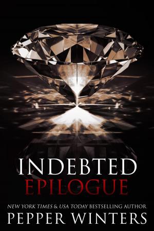 Book cover of Indebted Epilogue