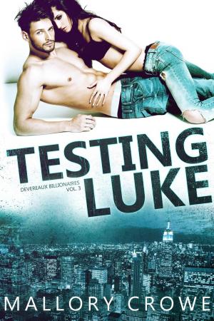Cover of the book Testing Luke by Michelle Reid