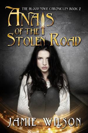 Cover of the book Anais of the Stolen Road by Jennifer Allis Provost