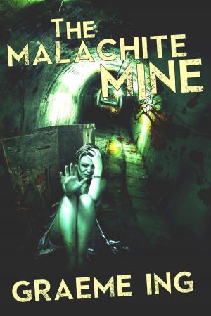 Cover of the book The Malachite Mine by Rodney Cimburke