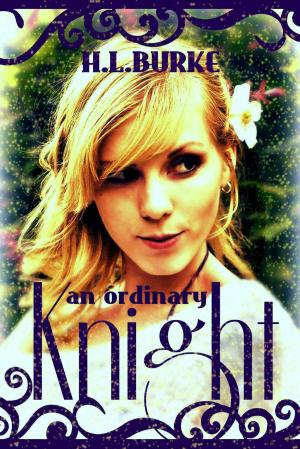 Cover of An Ordinary Knight