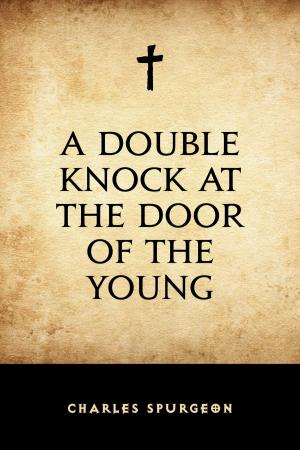 Cover of the book A Double Knock at the Door of the Young by George Meredith