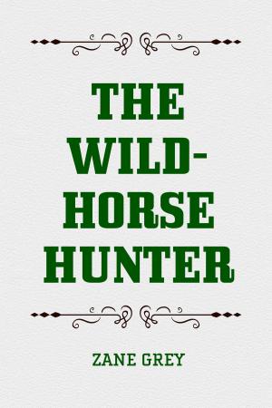 Cover of the book The Wild-Horse Hunter by Bret Harte