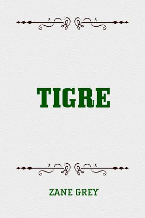 Cover of the book Tigre by Bret Harte