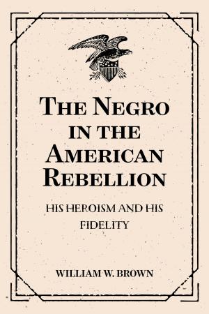Cover of the book The Negro in the American Rebellion: His Heroism and His Fidelity by George MacDonald