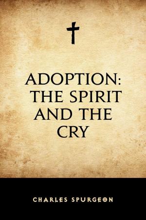 Cover of the book Adoption: The Spirit and the Cry by William Hunt