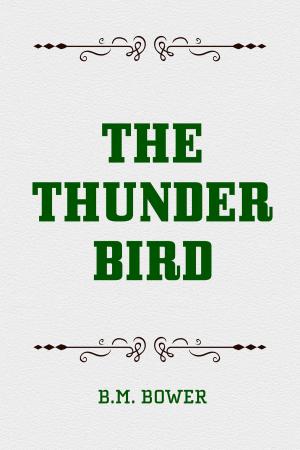 Cover of the book The Thunder Bird by A. E. W. Mason
