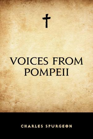 Book cover of Voices from Pompeii