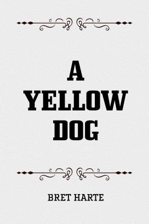 Cover of the book A Yellow Dog by Tony Vigorito