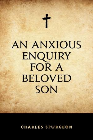 Cover of the book An Anxious Enquiry for a Beloved Son by Alice Meynell