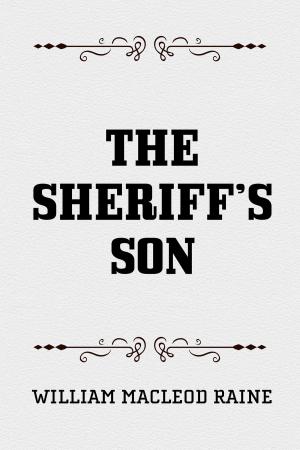 Cover of the book The Sheriff’s Son by Fanny Burney