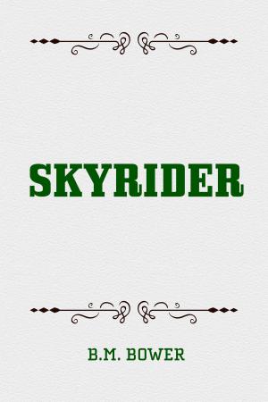 Cover of the book Skyrider by Frances Hodgson Burnett
