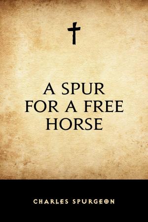 Cover of the book A Spur for a Free Horse by Charles Kingsley