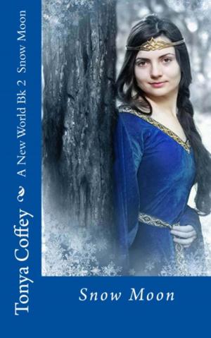Cover of the book Snow Moon by Mia Mckimmy