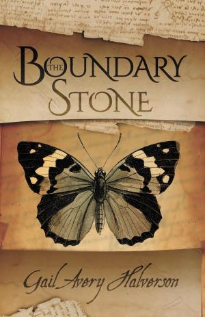bigCover of the book The Boundary Stone by 