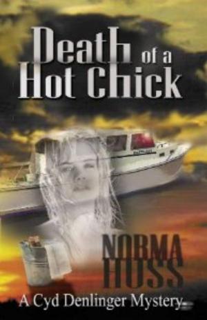 Cover of the book Death of a Hot Chick by Chris Cook