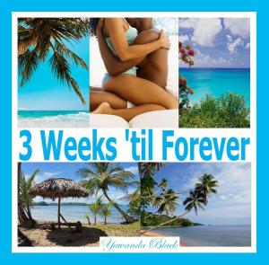 Cover of the book 3 Weeks 'til Forever by Joyce Gibbons