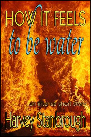 Cover of the book How It Feels to Be Water by D L Richardson