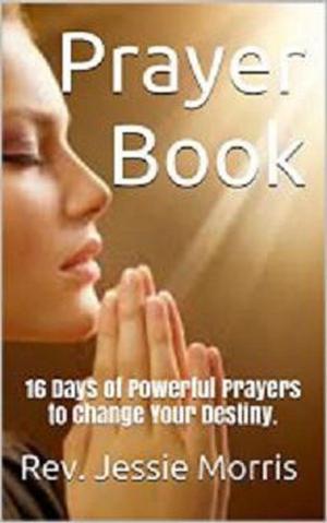 Book cover of Prayer Book – 16 Days of Powerful Prayers to Change Your Destiny