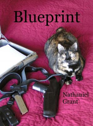 Book cover of Blueprint