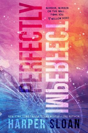 Cover of the book Perfectly Imperfect by Erin Lancaster